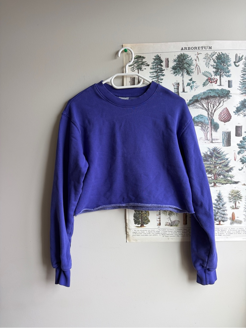 TNA Cozy Fleece Perfect Sweatshirt Cropped XS